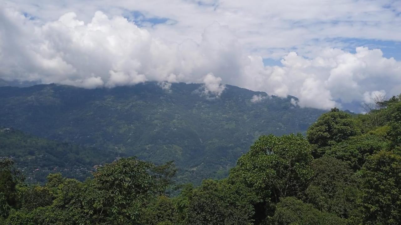 Singtom Tea Resort Darjeeling  Exterior foto